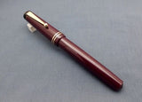 Click Aristocrat Acrylic Fountain Pen - Fine Nib - Gold Trim - Brown